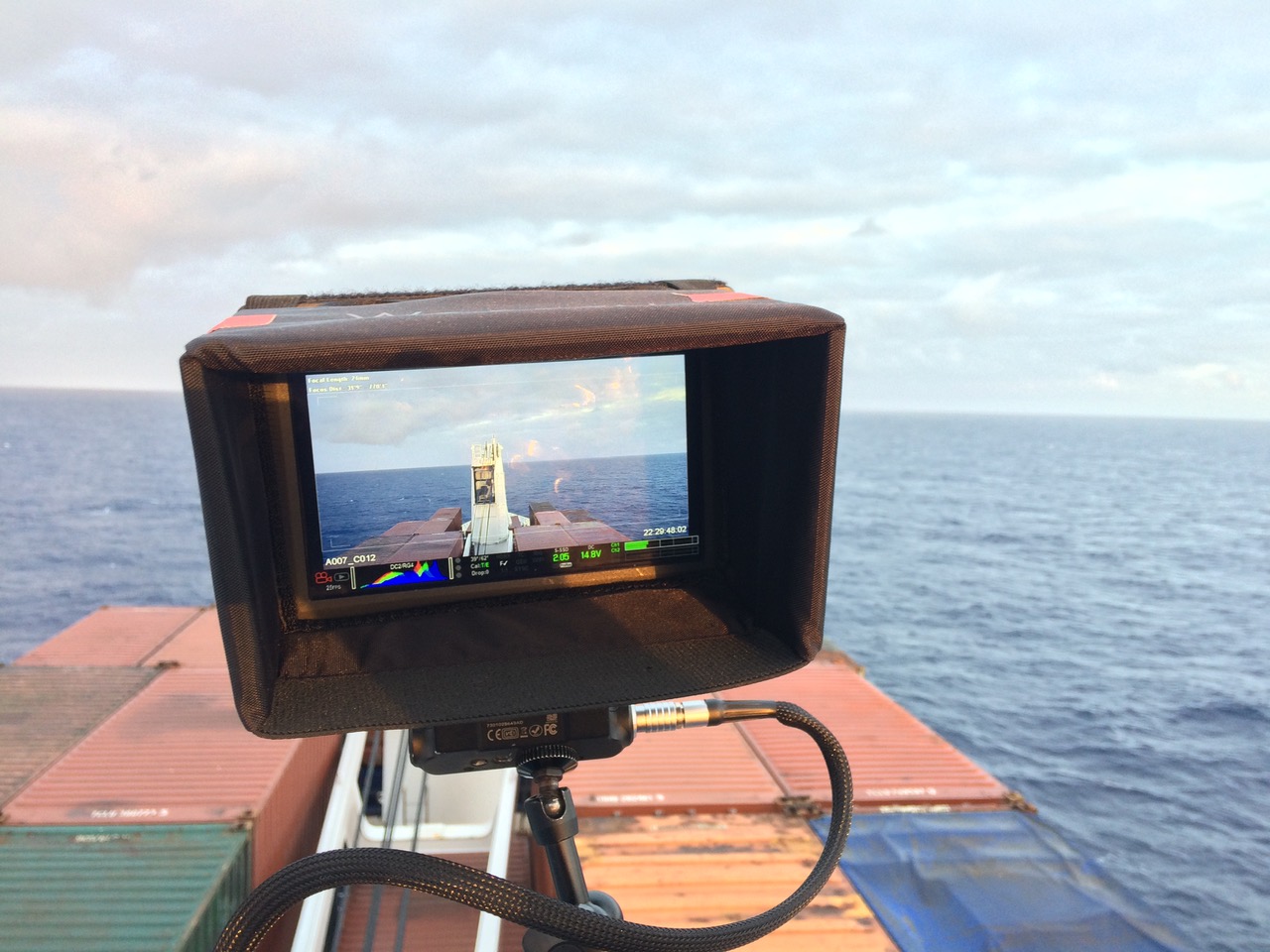 Manthia Diawara Angela Davis: A World of Greater Freedom