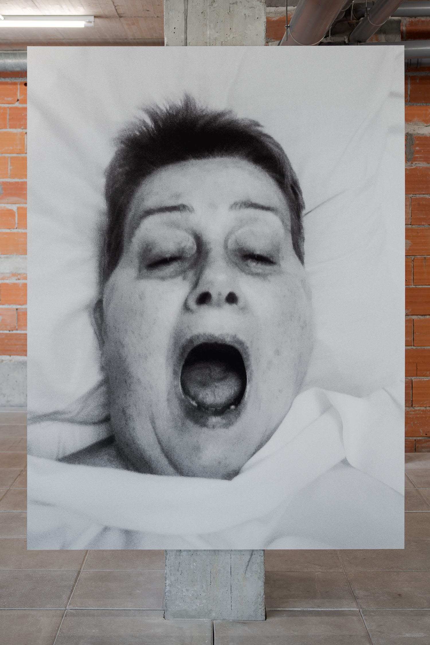 Lumiar Cité, 2025, vista da instalação. Foto: DMF